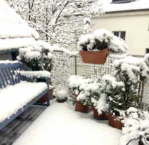 Femmes im Kölner Schnee