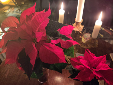 Femmes im Dezember 2025